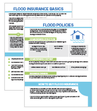 Flood Insurance Basics Screen Capture