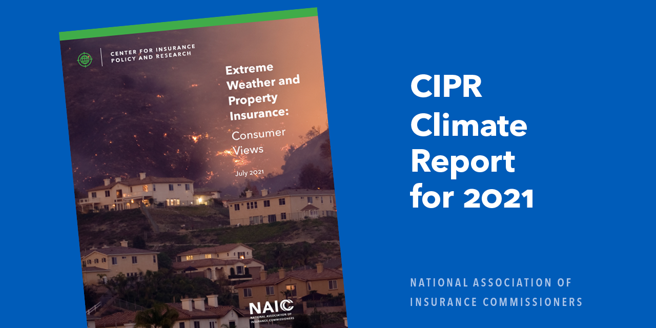 CIPR Climate Report for 2021