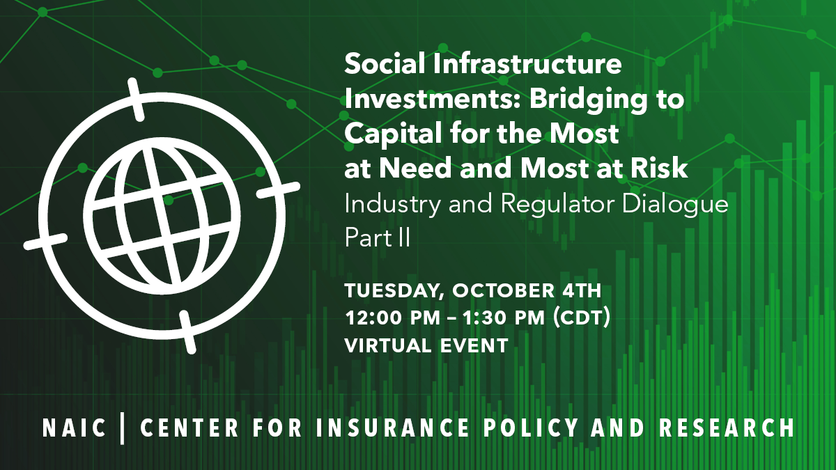 Social Infrastructure Investments: Bridging to Capital for the Most at Need and Most at Risk