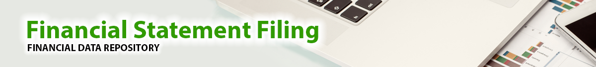 Industry Financial Filing Banner