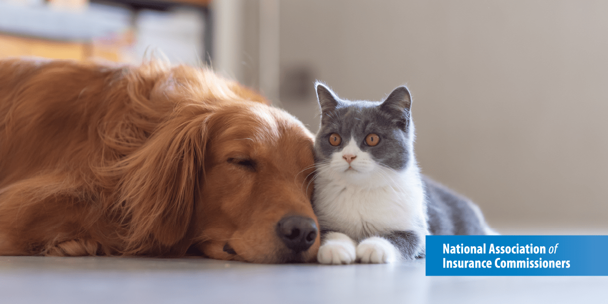 animal health insurance for cats