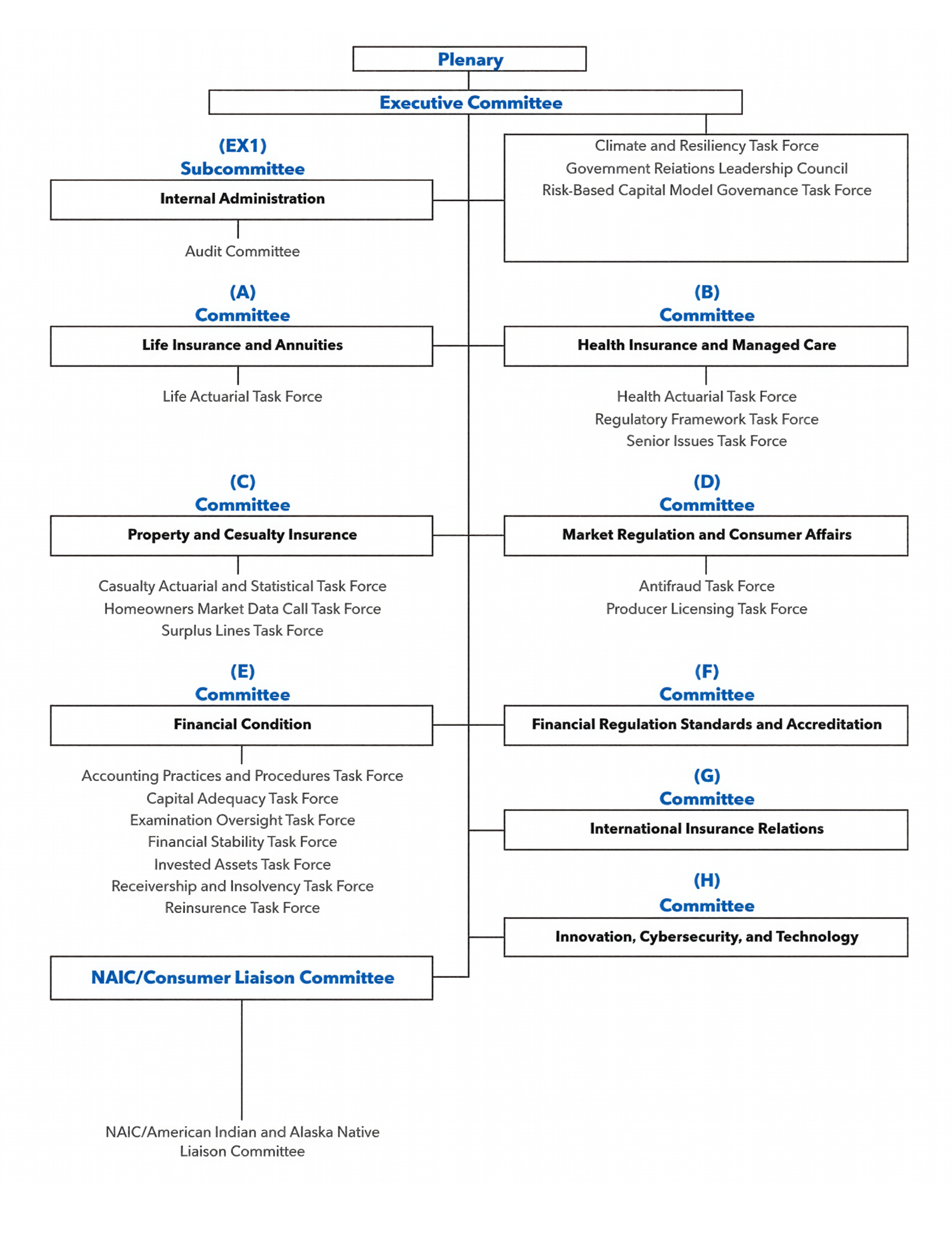 Chart listing the Committee and task forces at NAIC