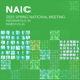 Spring National Meeting