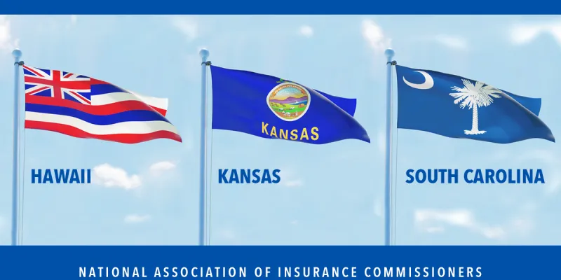 The Flags of Hawaii, Kansas, and South Carolina