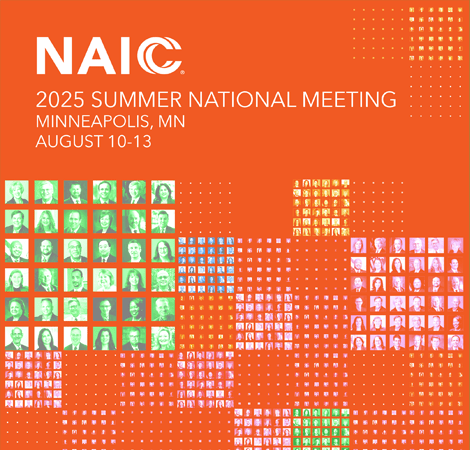 2025 Summer National Meeting