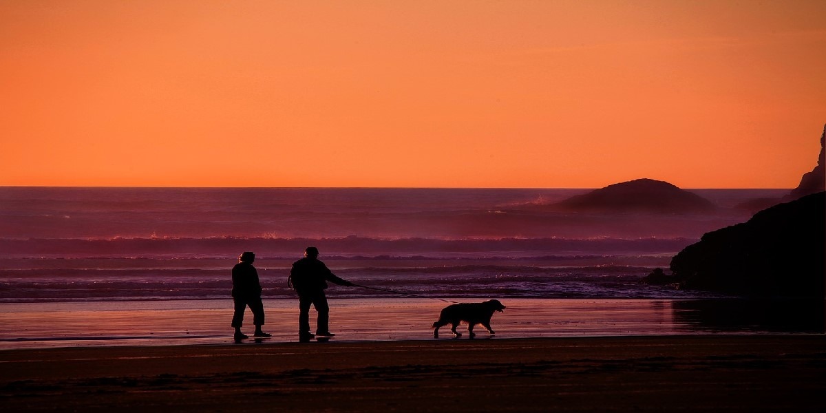 Older folks walking on a beach at sunset
