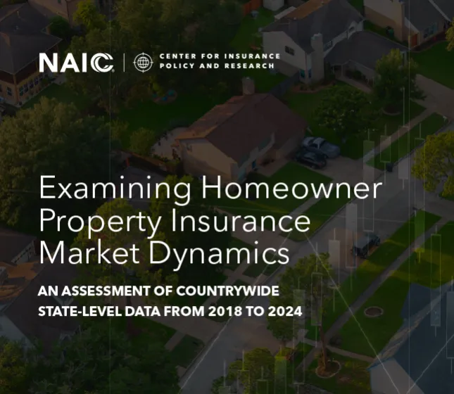 Examining Homeowner Property Insurance Market Dynamics:  An Assessment of State-Level Market Trends, Conditions, and Performance from 2018–2024